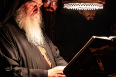 DSC03194-Enhanced-NR