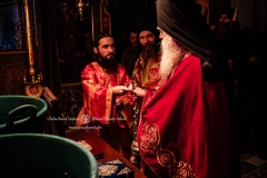 DSC03195-Enhanced-NR