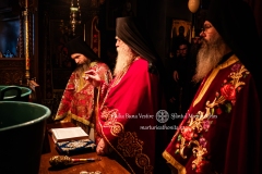 DSC03199-Enhanced-NR