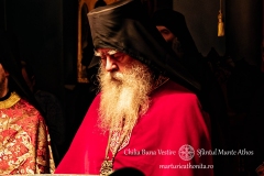 DSC03201-Enhanced-NR