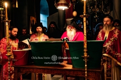 DSC03204-Enhanced-NR