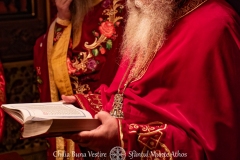 DSC03211-Enhanced-NR