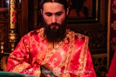 DSC03216-Enhanced-NR