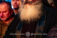 DSC03219-Enhanced-NR