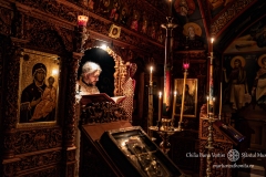 DSC03282-Enhanced-NR