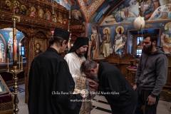 DSC03306-Enhanced-NR