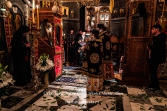 DSC02759-Enhanced-NR