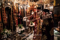 DSC02760-Enhanced-NR