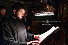 DSC02772-Enhanced-NR