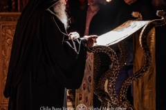 DSC02783-Enhanced-NR