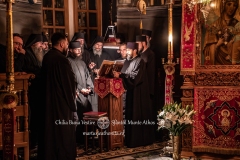 DSC02787-Enhanced-NR