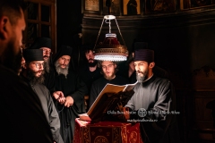 DSC02788-Enhanced-NR