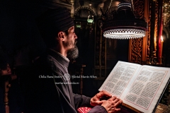 DSC02803-Enhanced-NR