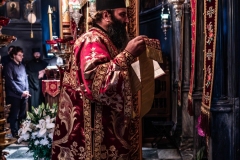 DSC02814-Enhanced-NR