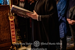 DSC02828-Enhanced-NR