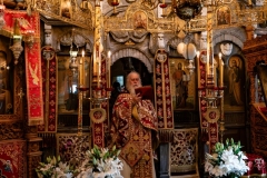 DSC02846-Enhanced-NR