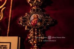 DSCF6790-Enhanced-NR