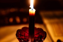 DSCF6791-Enhanced-NR