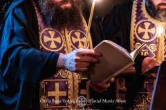 DSCF6930-Enhanced-NR