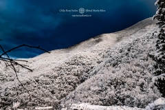 DSC03166-Enhanced-NR