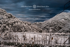 DSC03167-Enhanced-NR