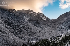 DSC03168-Enhanced-NR