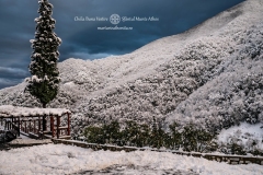 DSC03170-Enhanced-NR