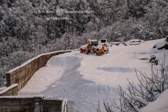 DSC03171-Enhanced-NR