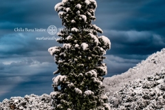 DSC03176-Enhanced-NR