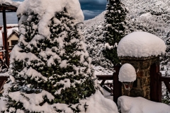 DSC03178-Enhanced-NR