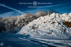 DSC03181-Enhanced-NR