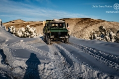 DSC03182-Enhanced-NR