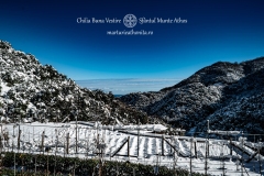 DSC03184-Enhanced-NR