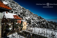 DSC03185-Enhanced-NR