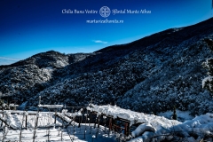 DSC03186-Enhanced-NR