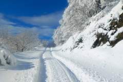 WhatsApp-Image-2026-01-13-at-13.25.27