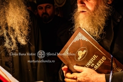 DSC03090-Enhanced-NR