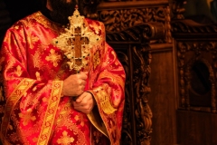 DSC03092-Enhanced-NR