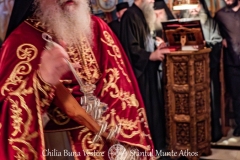 DSC03095-Enhanced-NR