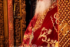 DSC03101-Enhanced-NR