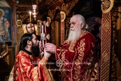 DSC03104-Enhanced-NR