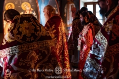 DSC03109-Enhanced-NR