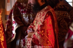 DSC03110-Enhanced-NR