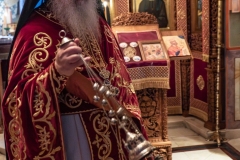 DSC03113-Enhanced-NR