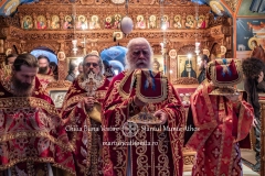 DSC03124-Enhanced-NR