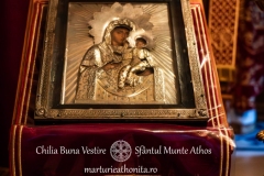 DSC03133-Enhanced-NR