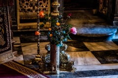MAN01664-topaz-denoise