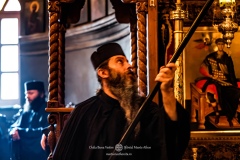 MAN01670-topaz-denoise