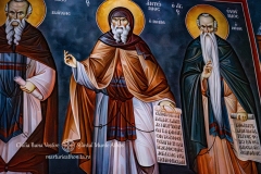 DSC02912-Enhanced-NR