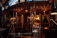 DSC02919-Enhanced-NR